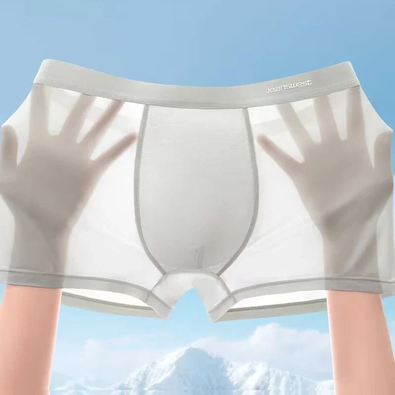 Boxershorts en microfibre Ice-Silk – BoxIce