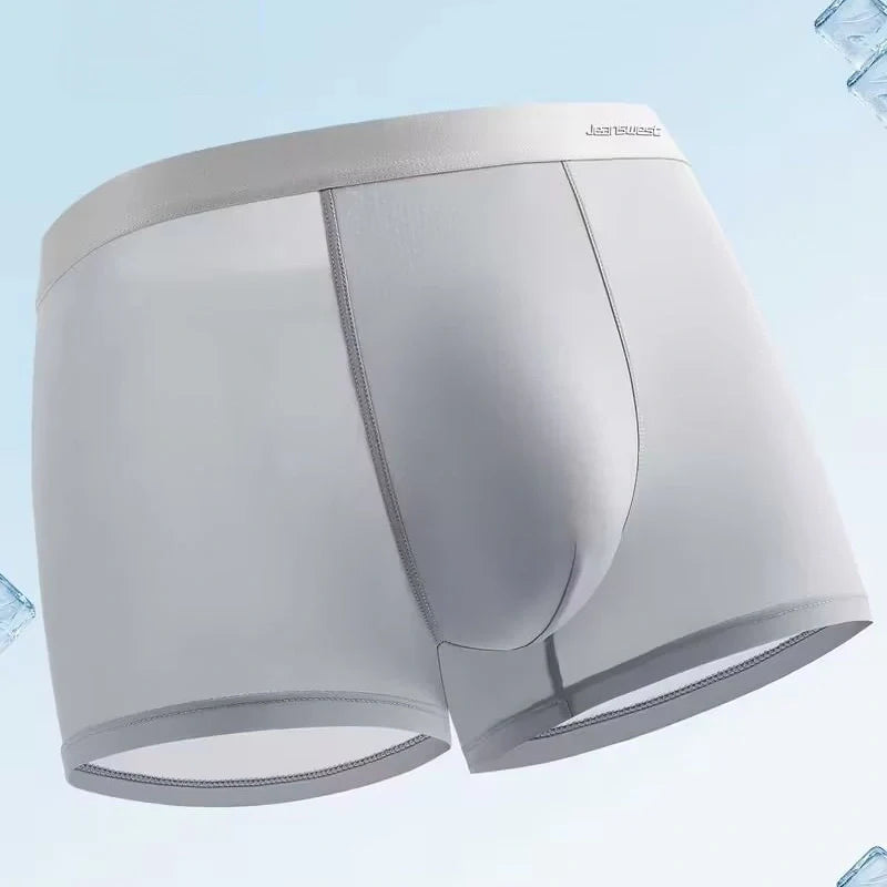 Boxershorts en microfibre Ice-Silk – BoxIce